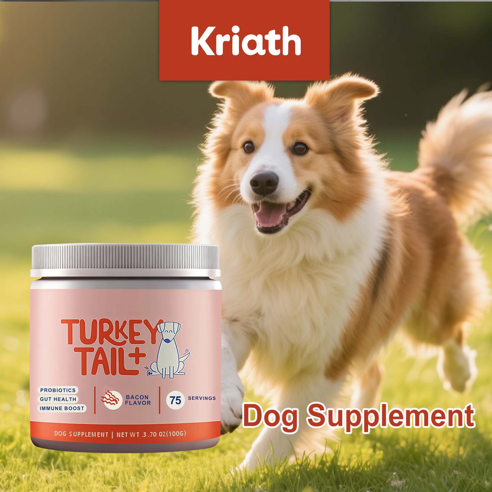 Canine Probiotic Powder Intest - Health Wellness Vitality ulasan dan harga
