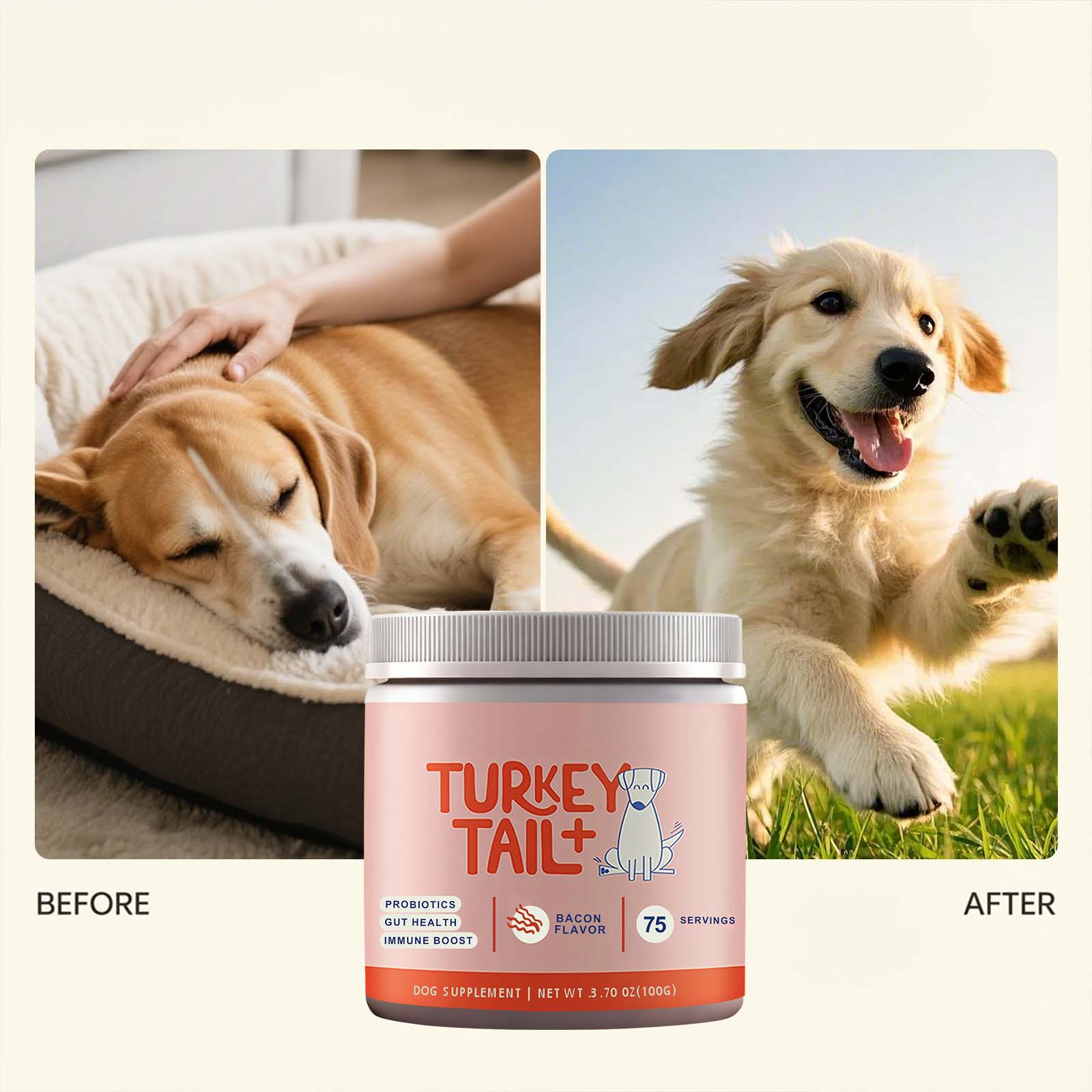 Canine Probiotic Powder Intest - Health Wellness Vitality ulasan dan harga