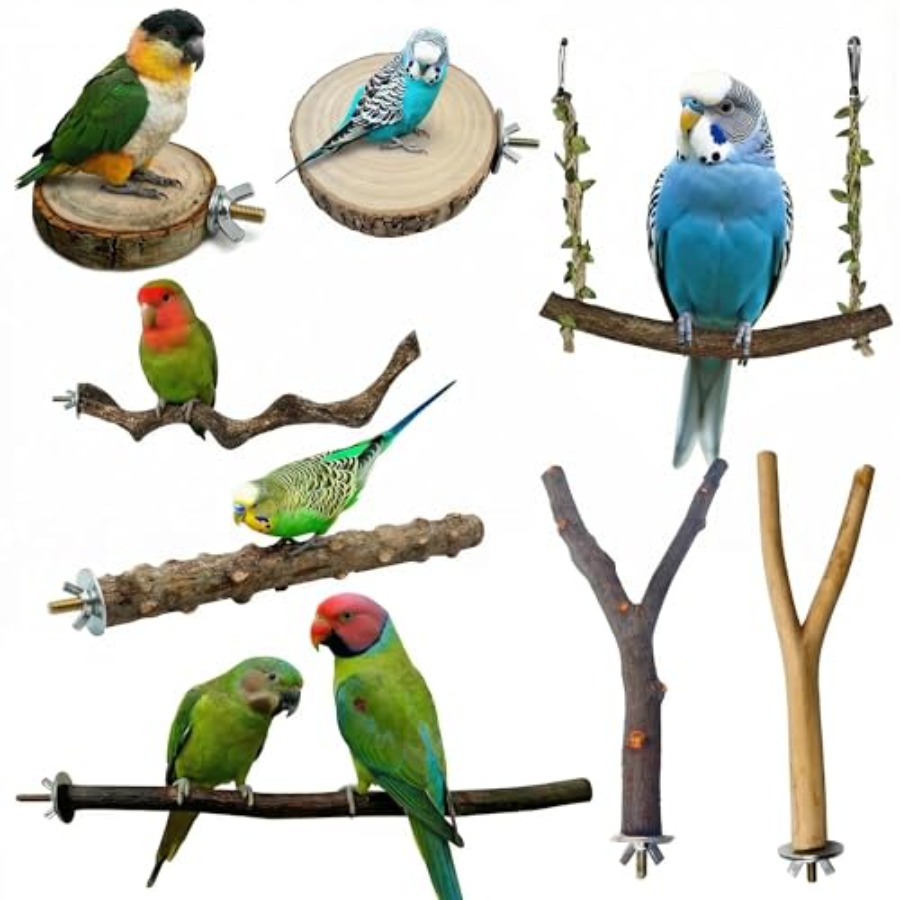8PCS natural wood bird perches - Health & Wellness Newsletter ulasan dan harga