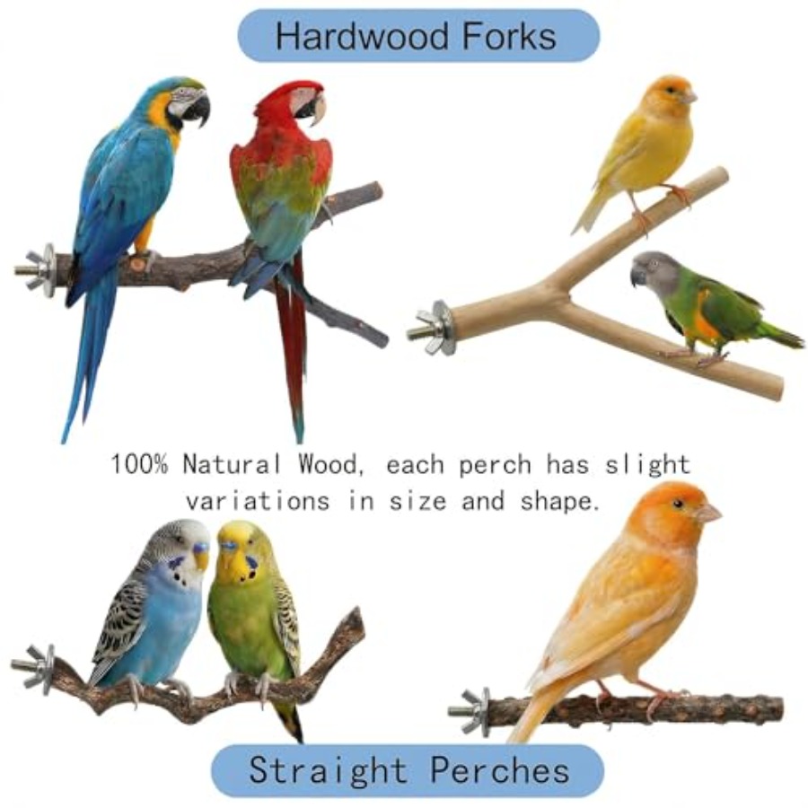 8PCS natural wood bird perches - Health & Wellness Newsletter ulasan dan harga